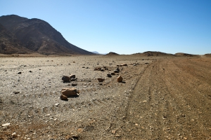 Landschaft