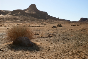 Landschaft