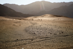 Landschaft
