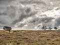 Exmoor National Park