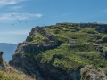 Tintagel