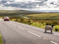 Dartmoor National Park