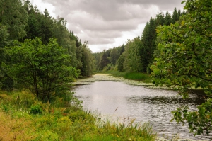 2009-08-12-21-18-07-NIKON-D90