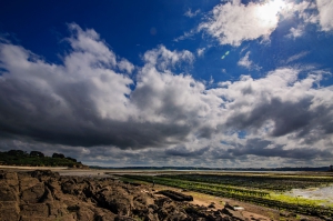 2011-08-04-16-51-26-NIKON-D90