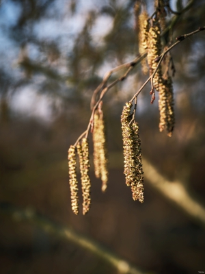 2026-02-28-08-30-47-GFX100S-II