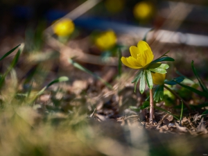 2026-02-28-09-27-44-GFX100S-II