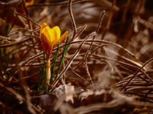 2026-02-28-09-28-53-GFX100S-II