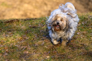 2026-03-01-08-33-18-NIKON-Z-8