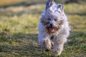 2026-03-01-08-48-09-NIKON-Z-8-2