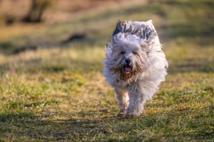 2026-03-01-08-48-09-NIKON-Z-8