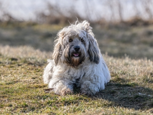 2026-03-01-09-12-35-NIKON-Z-8