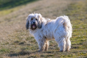 2026-03-01-09-33-50-NIKON-Z-8