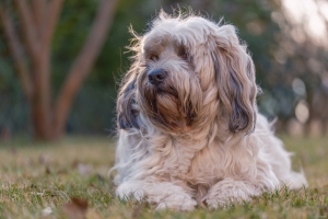 2026-03-01-16-03-43-GFX100S-II