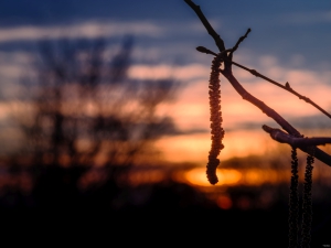 2026-03-17-18-02-43-X-H2