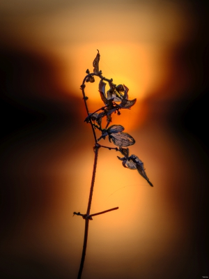 2026-03-17-18-06-21-X-H2