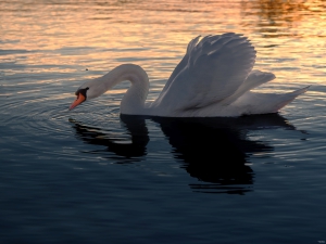 2026-03-17-18-09-39-X-H2