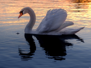 2026-03-17-18-09-41-X-H2