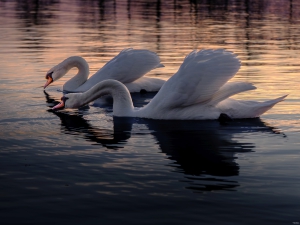 2026-03-17-18-10-03-X-H2