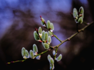 2026-03-17-18-22-40-X-H2