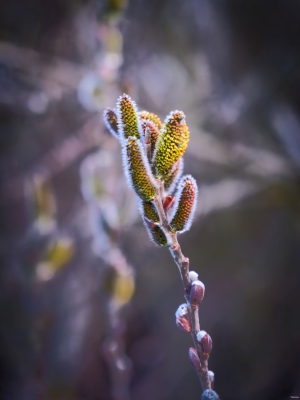 2026-03-17-18-23-14-X-H2