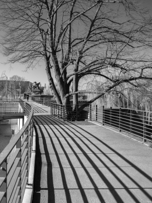 2026-03-22-09-02-21-GFX100S-II