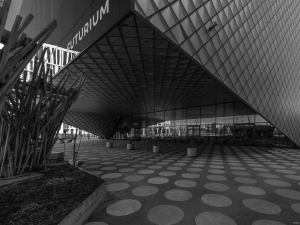 2026-03-22-09-22-02-GFX100S-II