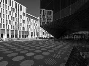 2026-03-22-09-23-53-GFX100S-II