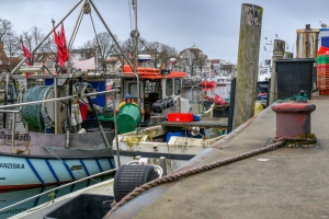 2026-03-29-10-45-43-NIKON-Z-8