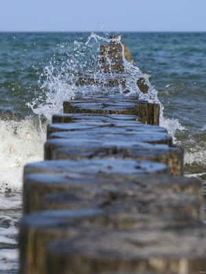 2026-03-29-11-56-45-NIKON-Z-8