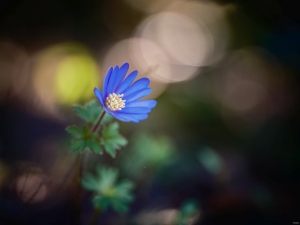 2026-04-15-17-51-02-GFX100S-II