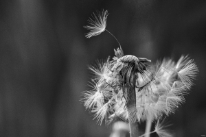 2026-05-04-18-23-58-NIKON-Z-8