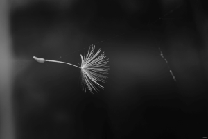 2026-05-04-18-42-54-NIKON-Z-8