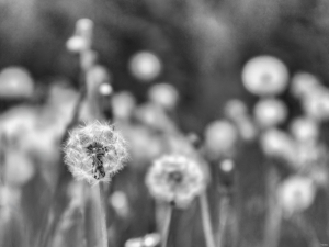 2026-05-08-15-09-43-GFX100S-II