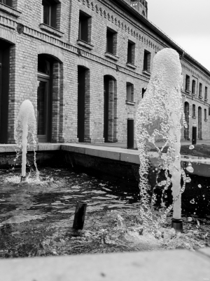 2026-06-08-18-34-51-NIKON-Z-f