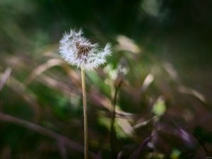 2026-06-11-13-35-08-NIKON-Z-8