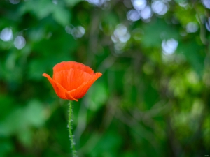 2026-06-12-15-04-03-NIKON-Z-7