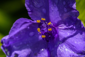 2026-06-14-15-12-14-NIKON-D7200