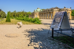 2026-07-12-08-35-02-NIKON-Z-8