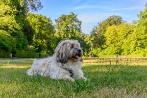 2026-07-12-09-10-19-NIKON-Z-8
