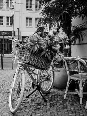 2026-07-18-11-20-54-NIKON-Z-f