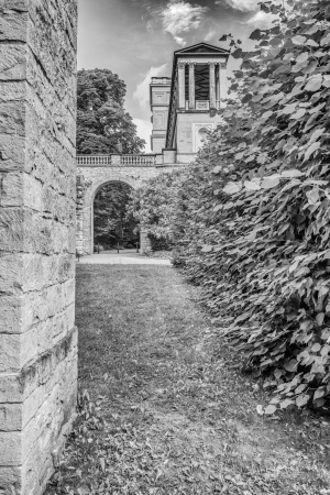 2026-07-19-09-13-37-NIKON-Z-f