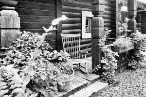 2026-07-19-09-58-01-NIKON-Z-f