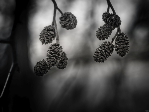 2026-02-20-14-33-21-X-H2