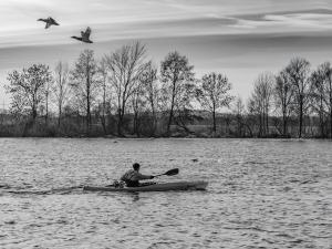 2026-02-20-14-40-31-X-H2