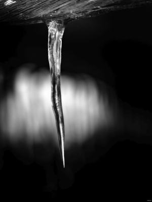 2026-02-20-15-24-29-X-H2