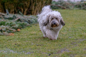 2026-02-22-09-58-39-NIKON-Z-8