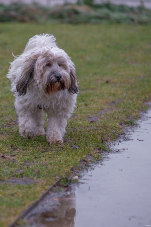 2026-02-22-09-58-41-NIKON-Z-8