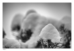 30.12.2014