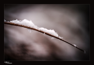 26.12.2014