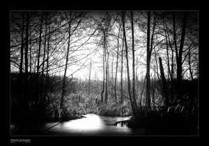 23.01.2015